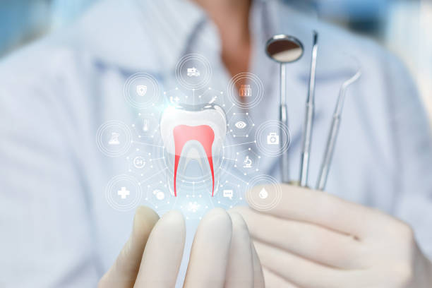 Best Preventive Dentistry  in Lawtey, FL